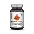 Magnez Stres + melisa + szyszki chmielu + B6 około 90 tabletek (77g)