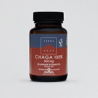 Terranova CHAGA 100% 500 mg  50 kapsułek